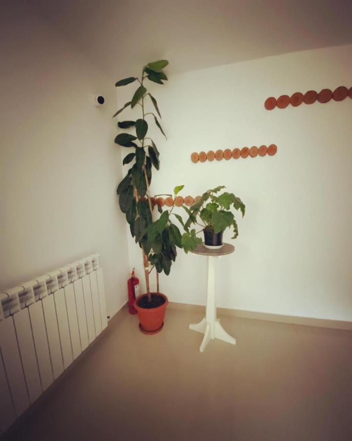 Maison Platanus ボイネアサ エクステリア 写真